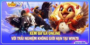 Xem Đá Gà Online Với Trải Nghiệm Không Giới Hạn Tại Win79