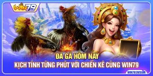 Đá Gà Hôm Nay: Kịch Tính Từng Phút Với Chiến Kê Cùng Win79